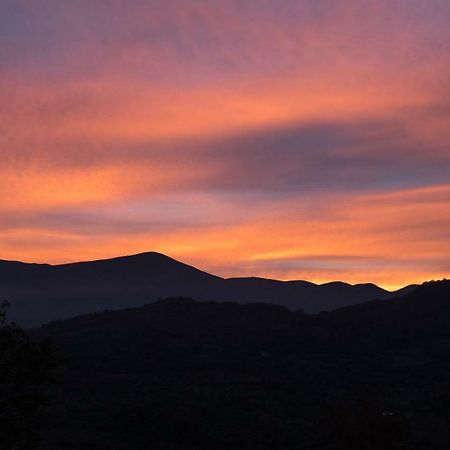 La Banditaccia Monticello Amiata Zewnętrze zdjęcie