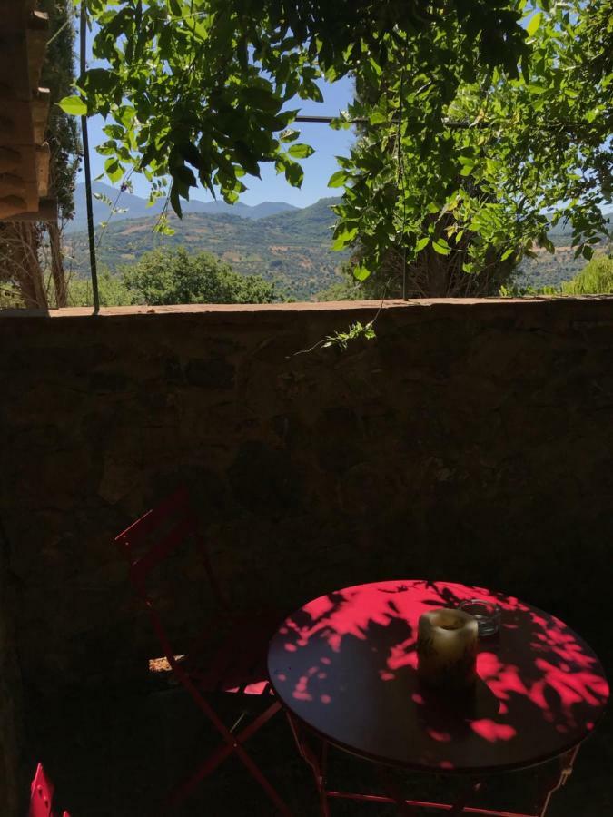 La Banditaccia Monticello Amiata Zewnętrze zdjęcie