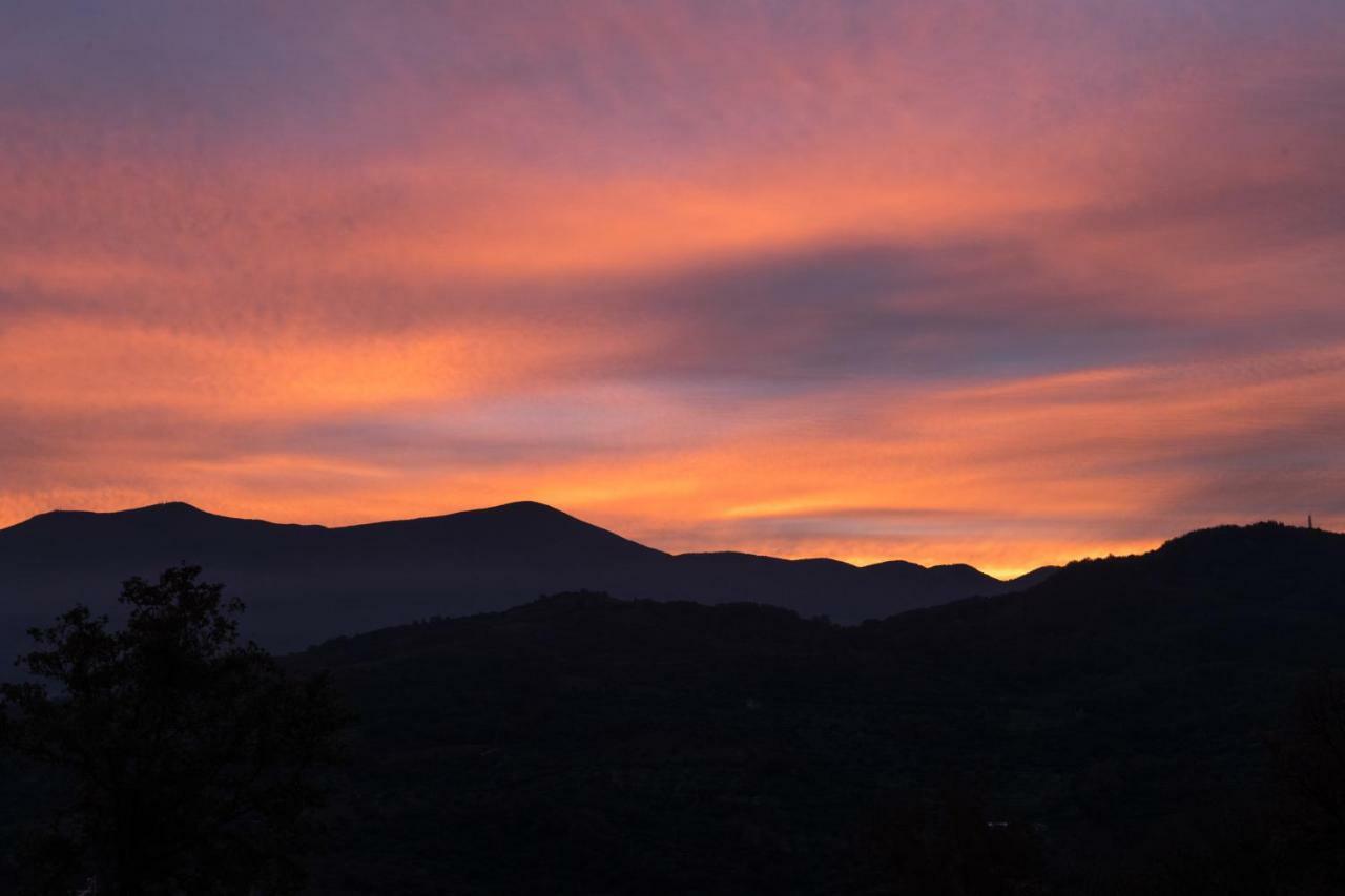 La Banditaccia Monticello Amiata Zewnętrze zdjęcie