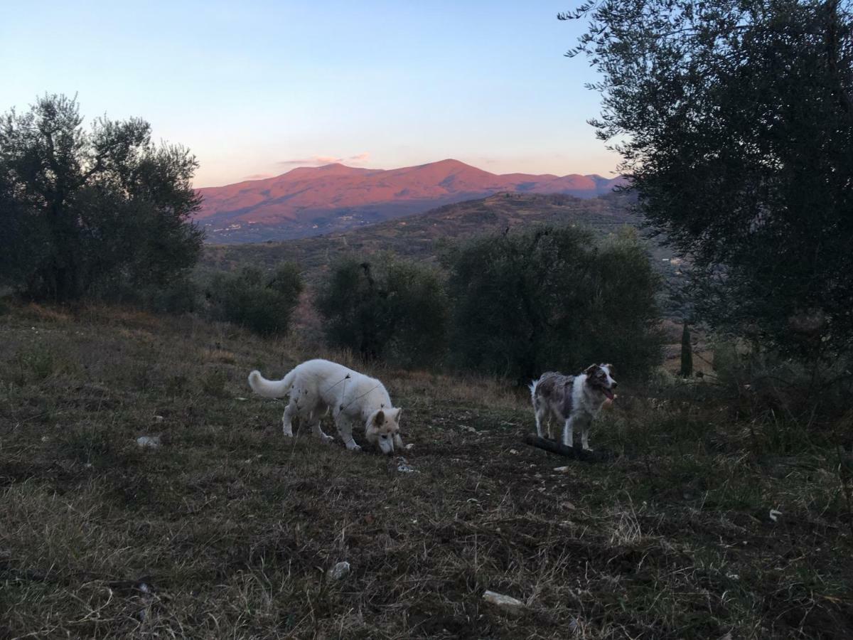 La Banditaccia Monticello Amiata Zewnętrze zdjęcie