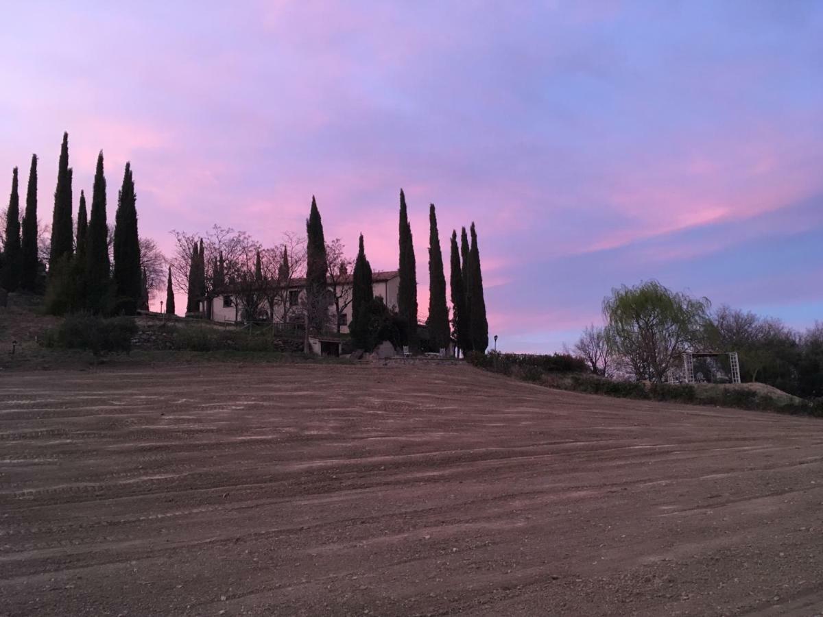 La Banditaccia Monticello Amiata Zewnętrze zdjęcie