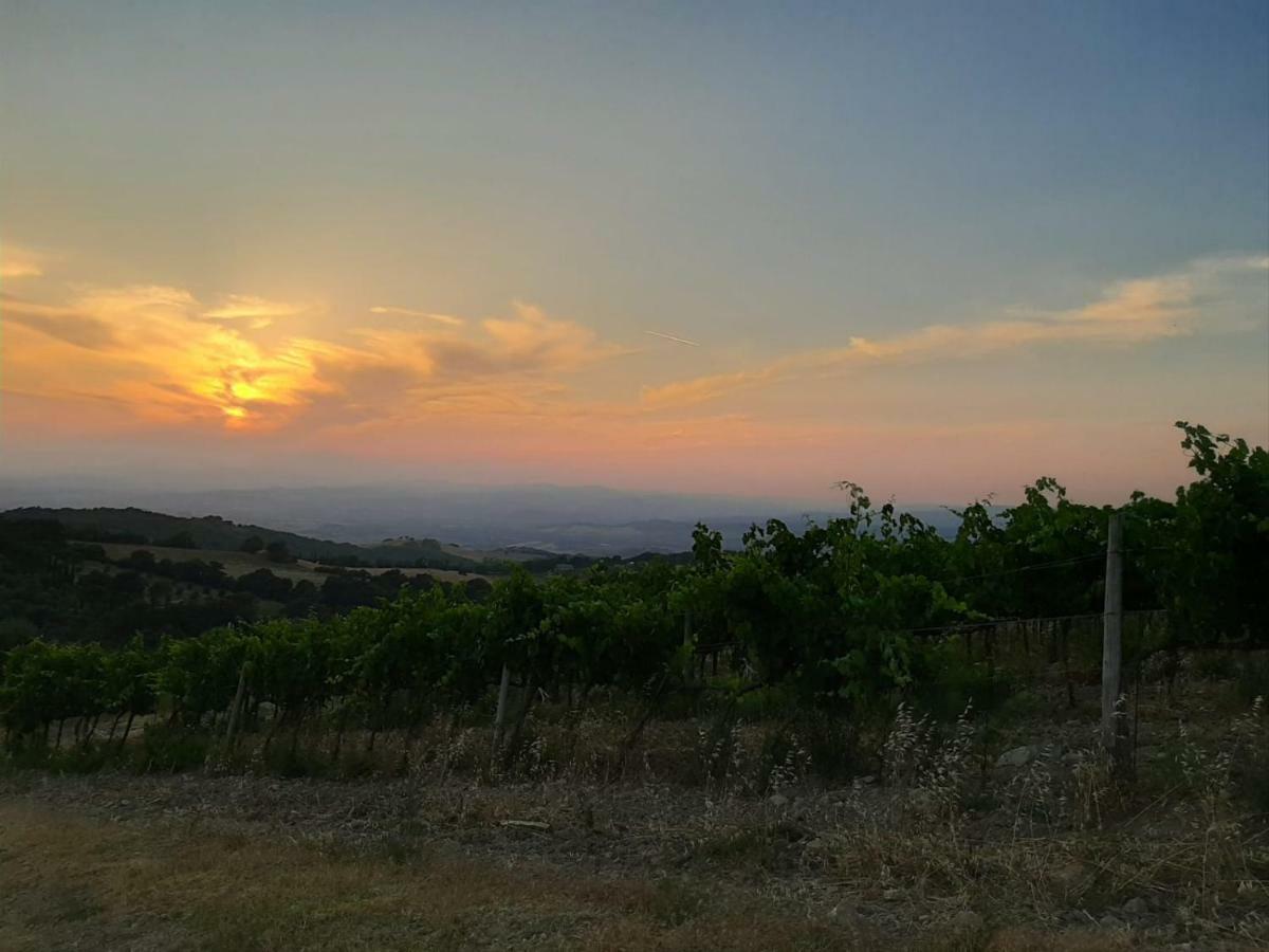 La Banditaccia Monticello Amiata Zewnętrze zdjęcie