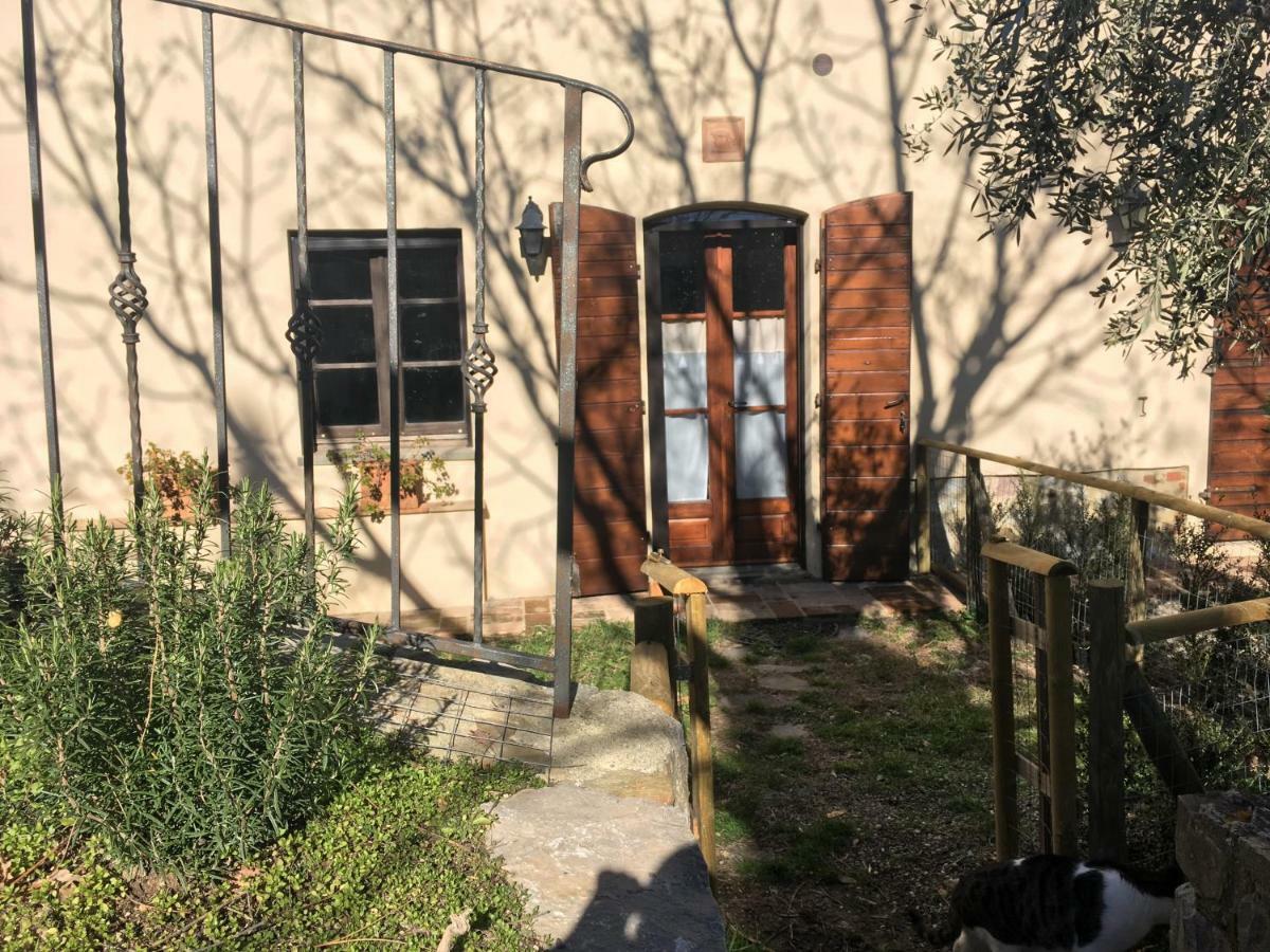 La Banditaccia Monticello Amiata Zewnętrze zdjęcie