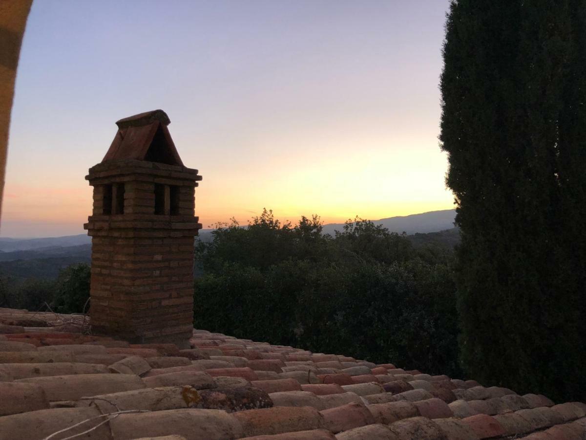 La Banditaccia Monticello Amiata Zewnętrze zdjęcie