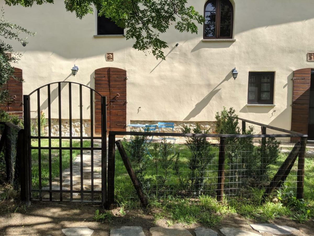 La Banditaccia Monticello Amiata Zewnętrze zdjęcie