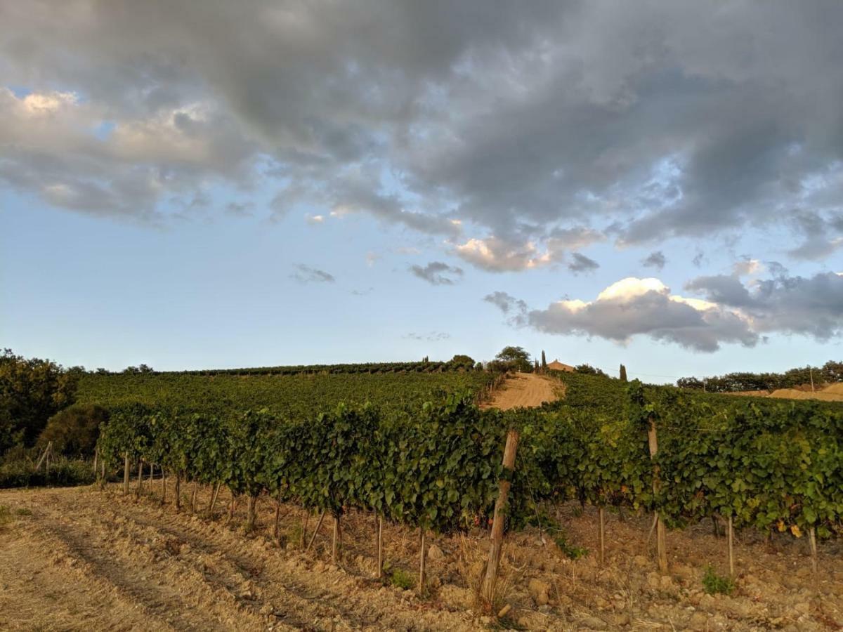 La Banditaccia Monticello Amiata Zewnętrze zdjęcie