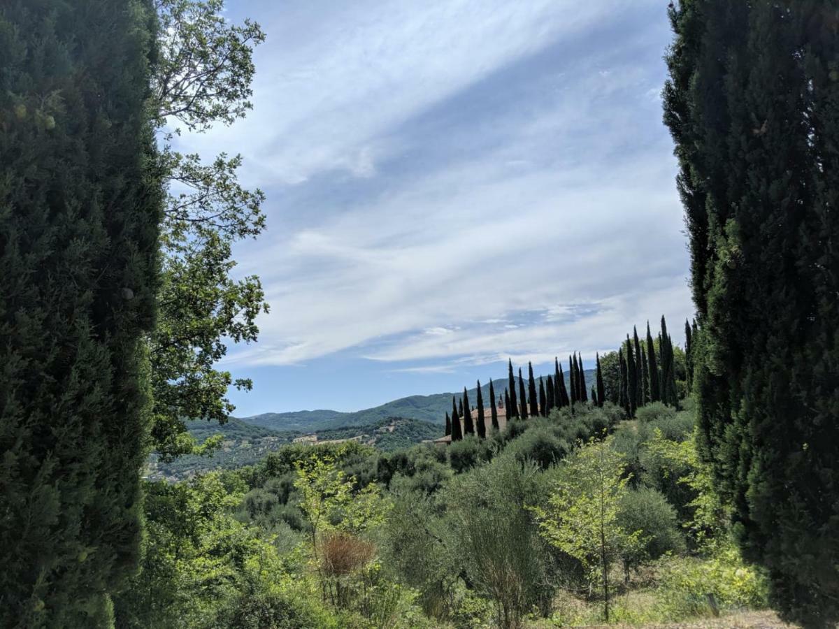 La Banditaccia Monticello Amiata Zewnętrze zdjęcie