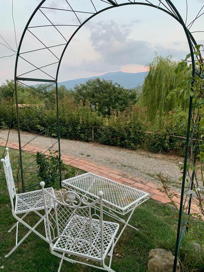 La Banditaccia Monticello Amiata Zewnętrze zdjęcie