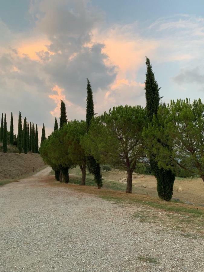 La Banditaccia Monticello Amiata Zewnętrze zdjęcie